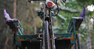 The Landscape of Small Businesses in the USA