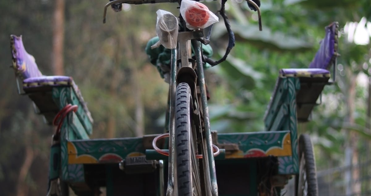 The Landscape of Small Businesses in the USA